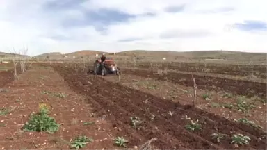 Bakan Fakıbaba'dan 