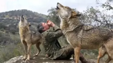 Çocukken Ailesini Kaybeden Adamı 19 Yaşına Kadar Kurtlar Yetiştirdi