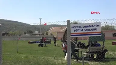 Afyonkarahisar Arama Kurtarma Köpekleri Eğitimden Geçiriliyor