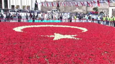 Kayseri-Büyükşehir Lalelerle Türk Bayrağı Rekoru Kırdı