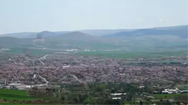 Esenboğa Havalimanı Çalışanları, Fidan Dikti