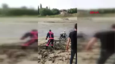 Malatya Baraj Gölünde Bataklığa Saplandı, İtfaiye Kurtardı