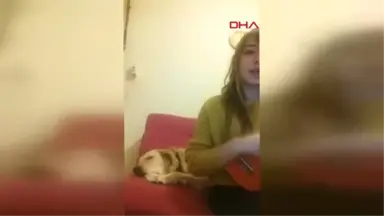 Eskişehir Ayrılan Sevgililer Köpek İçin Mahkemelik Oldu