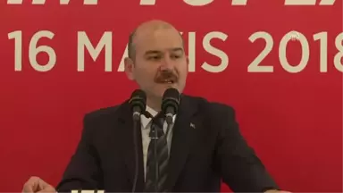 Soylu: 