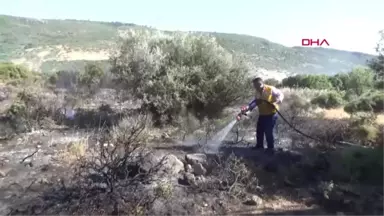 Çanakkale'de 100 Dönüm Makilik Alan Zarar Gördü-Hd