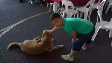 Beykoz'da Ramazan Sonrası Bayramlaşma Sevinci