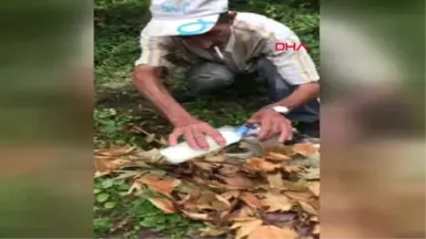 Bartın Aracın Çarptığı Köpek Emekli Madencinin Çabalarına Rağmen Öldü