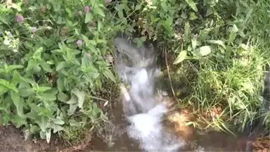 Şimdi Terörün Karşısında Bir Devlet ve Güçlü Ordu Var