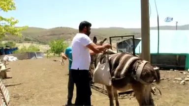 14 Yaşındaki Berdan'ın Lgs Başarısı Dikkat Çekti