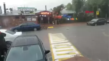 Bartın Kafkasör Yaylası'nda Boğa Güreşleri Nefes Kesti