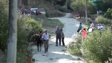 Karpuzlu'da Düğünler Asırlık Gelenekle Yapılıyor