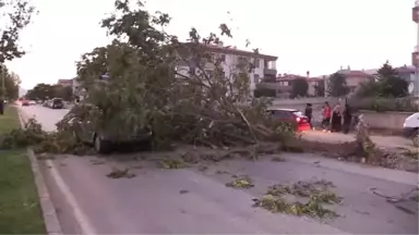 Seyir Halindeki Otomobilin Üzerine Ağaç Devrildi