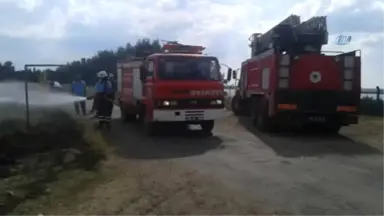 Tekirdağ'da Piknik Alanında 100 Çam Kül Oldu