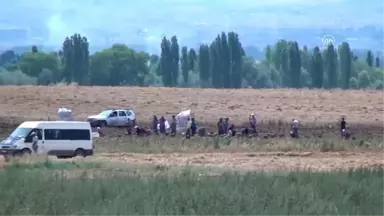 Çorum'da Patates Hasadına Başlandı