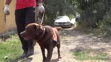 Tokat'ta Kaybolan 3 Yaşındaki Evrim'i Arama Çalışmaları