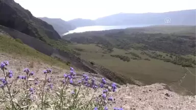 Nemrut Krater Gölü'ne Ziyaretçi Akını