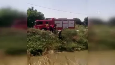 Bataklıkta Mahsur Kalan Köpeği İtfaiye Kurtardı