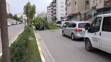 Çankırı'da Şiddetli Rüzgar