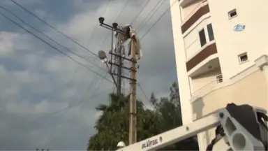 Evin Balkonundan Uçan Halı Elektrik Tellerinin Üzerine Düştü