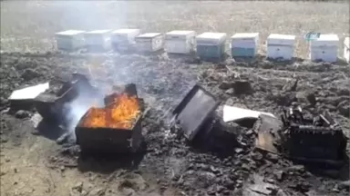 Tekirdağ'da Onlarca Arı Kovanı Küle Döndü