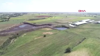 Kırklareli'nde Hayvan Atıkları Derelere Karıştı