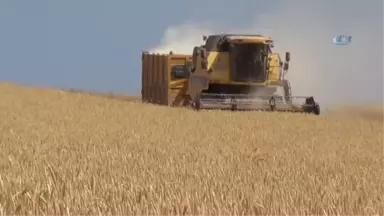 Bitlis Tarım ve Orman Müdürü Fatih Asak: 