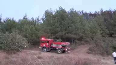 Hatay'da Orman Yangını