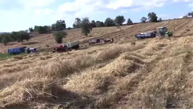 Siyez Buğdayında Rekolte Yüz Güldürdü