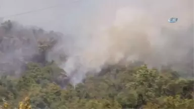 Kastamonu'da Orman Yangını