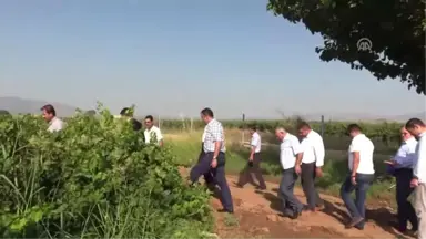 Hatay'da Bağ Bozumu