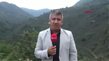 Ordu Fındık Hasadı Başladı, Yaylalar Boşaldı; Erzak Uyarısı Yapıldı Hd