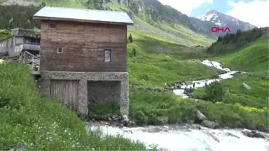 Rize Binlerce Çakıl Taşı ile Yayla Evinin Gövdesini Süsledi Hd