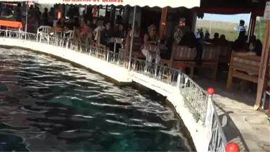 Akın Akın Çifteler'e Gidiyorlar...çifteler Belediyesi, Sakaryabaşı'nı Turizm Cennetine Çevirdi