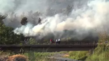 Osmaniye'deki Orman Yangını