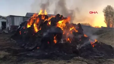 Kars Çiftçi Aile, 40 Ton Otun Kül Oluşunu Gözyaşları İçinde İzledi