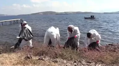 Foça'da Denize Sızan Akaryakıt Temizlendi