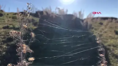 Kars Umut Ali, Geçince Tutuklandığı Sınıra Gitti