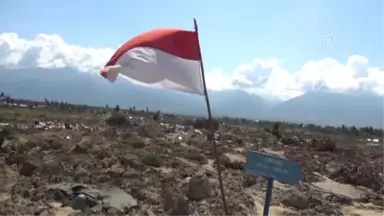 Uluslararası Kuruluşlardan Fitre ve Zekatlarını Göndermelerini İstiyoruz