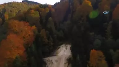 Giresun'da Sonbaharın Büyüsü