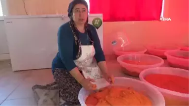 Katkısız Organik Tarhanaya İlgi