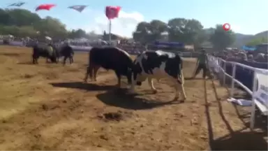 20 Aylık Bebek, 185 Bin TL ile Güreş Ağası Oldu