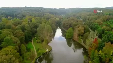 Sonbaharın Renklerine Bürünen Atatürk Arboretumu Havadan Görüntülendi