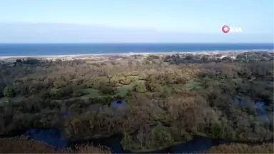 Karacabey Longoz'u Sonbaharda Havadan Görüntülendi