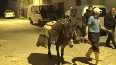 Antakya'nın Tarihi ve Dar Sokaklarında Çöpler 'Eşeklerle' Toplanıyor