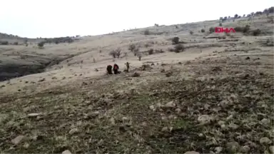 Tunceli Ayağı Kırılan Avcıya Köpeğinin Sevgi ve Sadakati