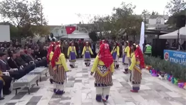 Ayvacık'ta Zeytin Şenliği Festivali Yapıldı - Çanakkale