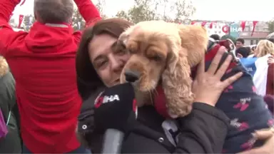 Hayvanseverler Hayvanları Koruma Kanunu'nun İçeriğine Tepki Gösterdi