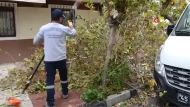 Şiddetli Rüzgar Manisa'da Hasara Yol Açtı