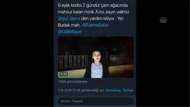 Küçük Elleriyle Hayvanlara Leğenden 