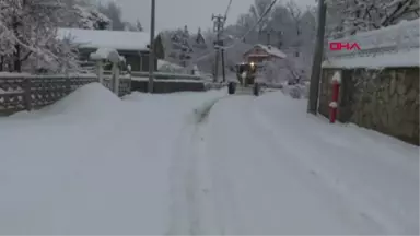 Bursa'da 'Beyaz Esaret' ile Mücadele Başladı